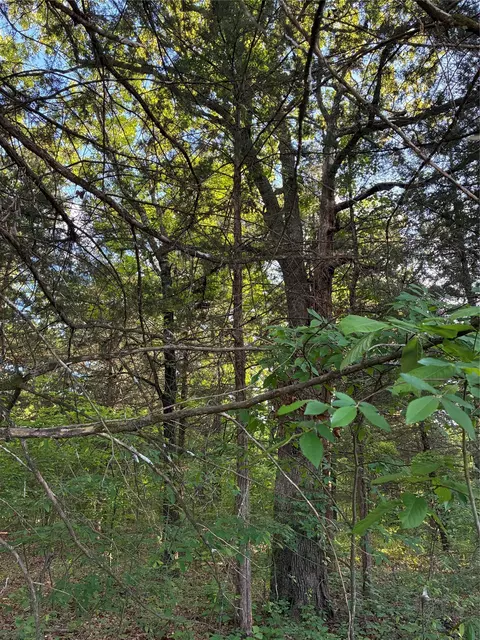 2900 Mc Burnett Dr, Honey Grove, TX 75446