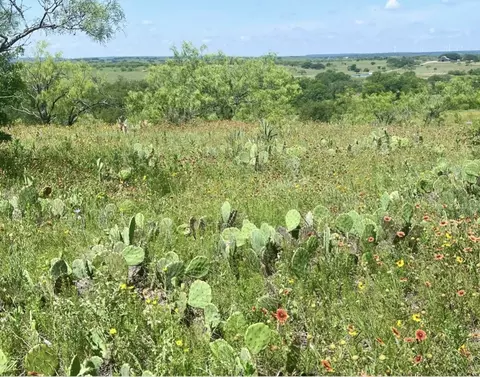 lot59 Comanche Lake Rd, Comanche, TX 76442