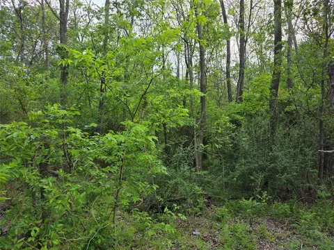 1202 Rosemary St, Greenville, TX 75401