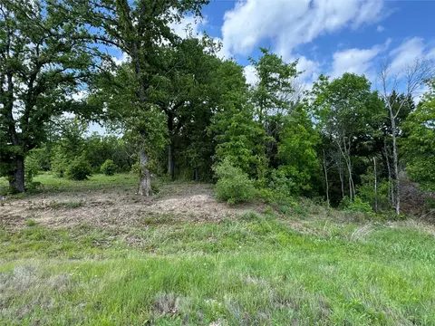 1017 Cedar Hill Dr, Nemo, TX 76070 photo 3