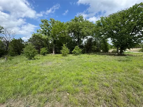 1017 Cedar Hill Dr, Nemo, TX 76070 photo 6