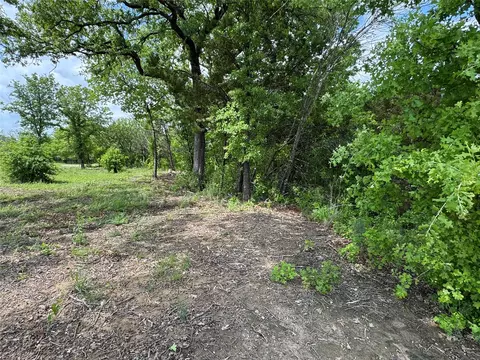 1017 Cedar Hill Dr, Nemo, TX 76070 photo 4