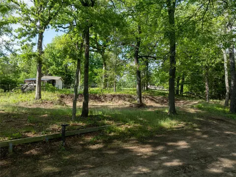 175 N Lake Dr, Murchison, TX 75778