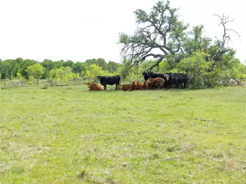 Other - 6500 Fm 586 # A, Bangs, TX 76823 photo 3 of 14