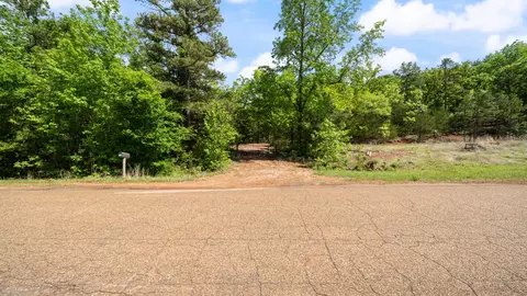 tbd County Road 4915, Ben Wheeler, TX 75754