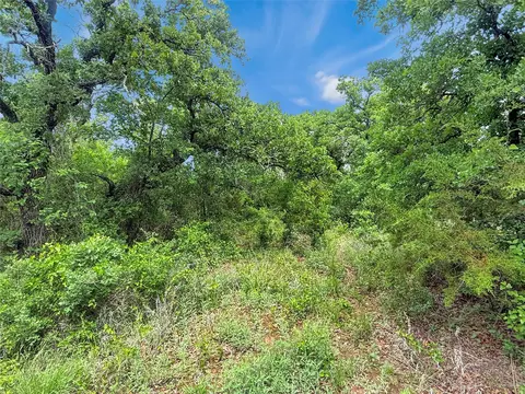 tbd Comanche Moon Dr, Mingus, TX 76463 photo 3