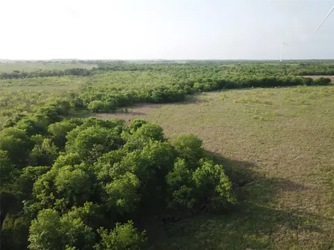 308 64 Acres Lcr 208a, Coolidge, TX 76635