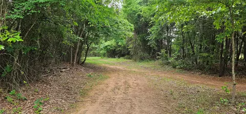 tbd Vz County Road 4814, Ben Wheeler, TX 75754