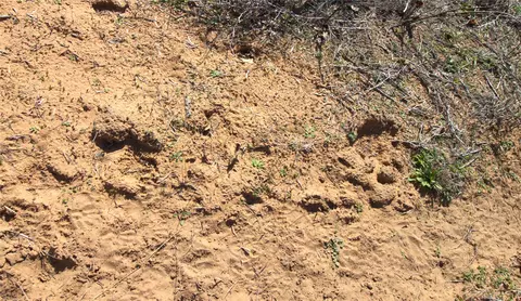 tbd Cr 139, Bangs, TX 76823 photo 14