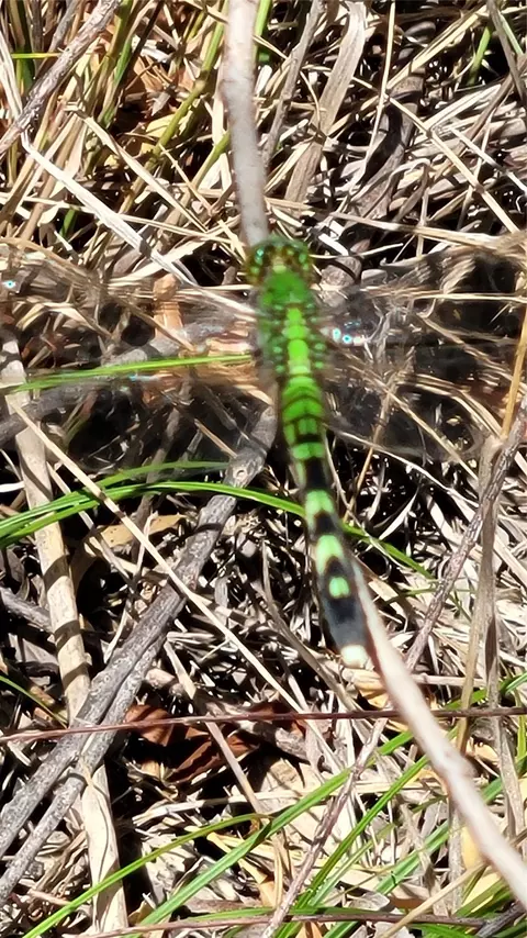 tbd Cr 139, Bangs, TX 76823 photo 11