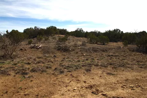 tbd Cr 139, Bangs, TX 76823 photo 28