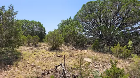 tbd Cr 139, Bangs, TX 76823 photo 34