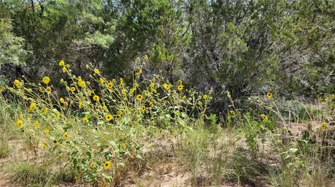 tbd Cr 139, Bangs, TX 76823 photo 32
