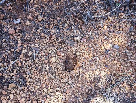 tbd Cr 139, Bangs, TX 76823 photo 19