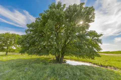 tbd Cr 132, Coleman, TX 76834