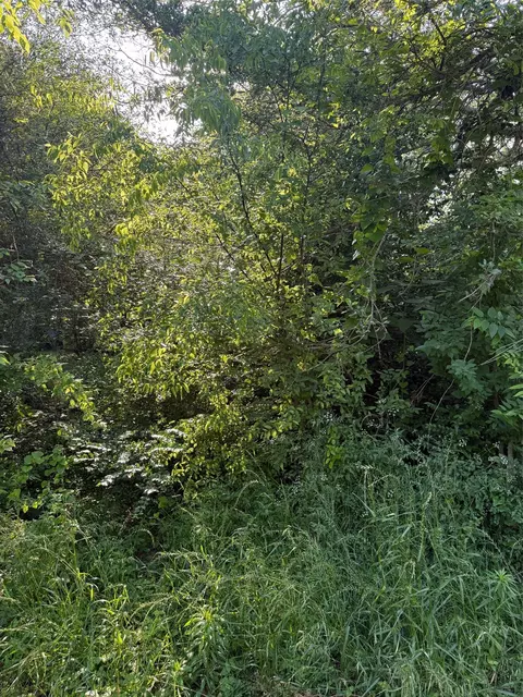 10946 Clover Ln, Berryville, TX 75763