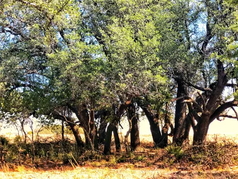 523 Ava Grace Ln, Dublin, TX 76446