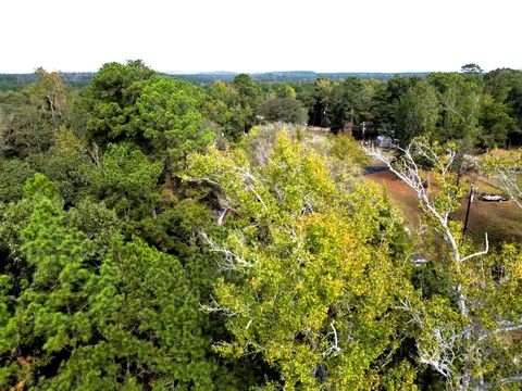 307 Cherokee Dr, Trinity, TX 75862 photo 3