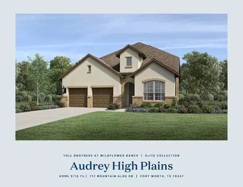 717 Mountain Aloe Dr, Justin, TX 76247