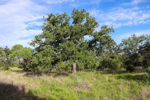 tbd Oak Ridge Tr, Kingsland, TX 78639