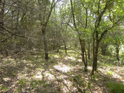 1303 Ash Ct, Whitney, TX 76692