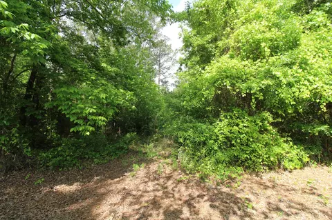 2 Mott Rd, Plain Dealing, LA 71064 photo 5