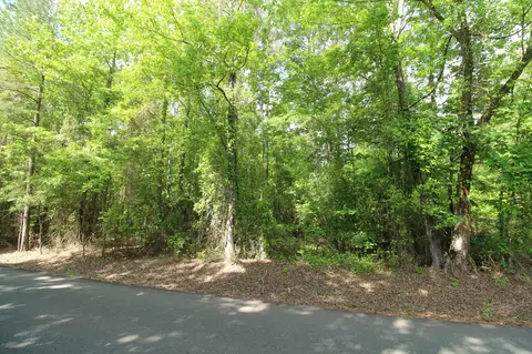 2 Mott Rd, Plain Dealing, LA 71064 photo 8