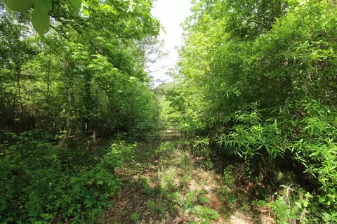 2 Mott Rd, Plain Dealing, LA 71064 photo 4