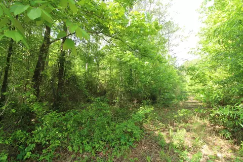 2 Mott Rd, Plain Dealing, LA 71064 photo 3