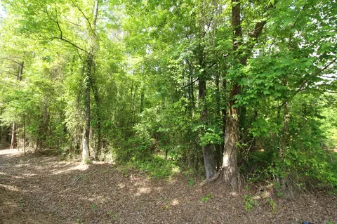 2 Mott Rd, Plain Dealing, LA 71064 photo 7