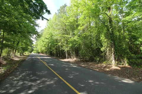 2 Mott Rd, Plain Dealing, LA 71064