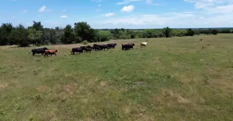 10 5 Acres Ohanlon Rd, Whitesboro, TX 76273