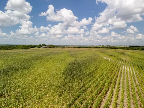 12 54 Acres Tract 3 County Rd 3307, Hubbard, TX 76648