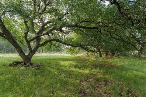254 Guadalupe Dr, Oglesby, TX 76561