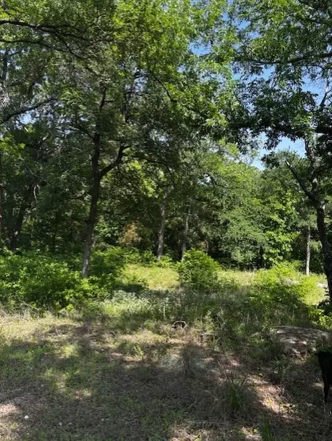 1255 Eagles Bluff Dr, Weatherford, TX 76087