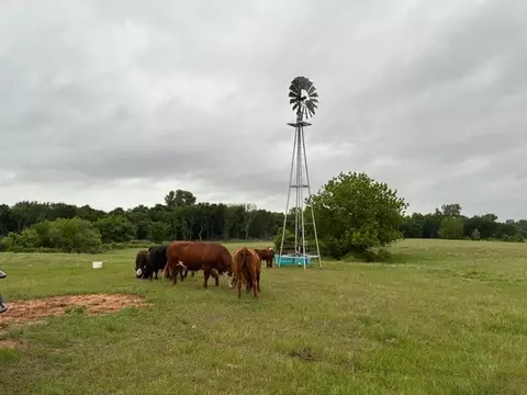 599 Lone Star, Poolville, TX 76487