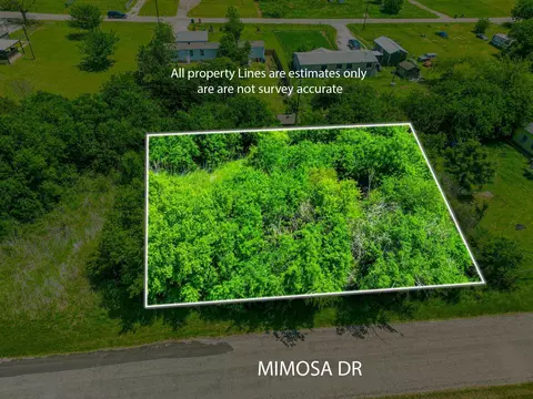 4507 Mimosa Dr, Granbury, TX 76048