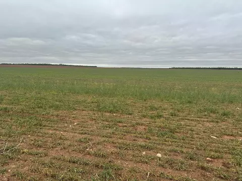 tbd Fm 1812, Merkel, TX 79536