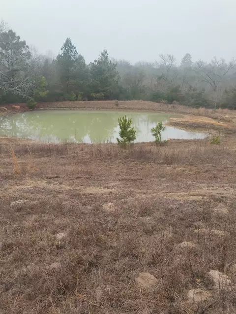 tbd County Road 204, Centerville, TX 75833