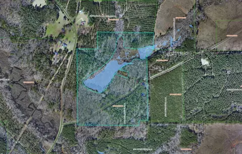 242 Slaughter Rd, Homer, LA 71040