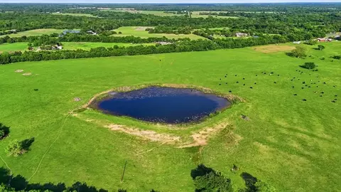 2301 Private Road 1179, Celeste, TX 75423 photo 26