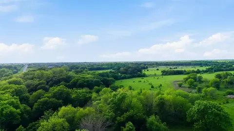 2301 Private Road 1179, Celeste, TX 75423 photo 15