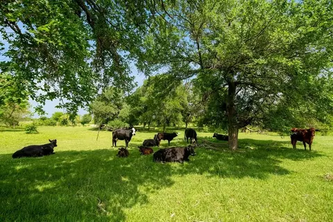 2301 Private Road 1179, Celeste, TX 75423 photo 23