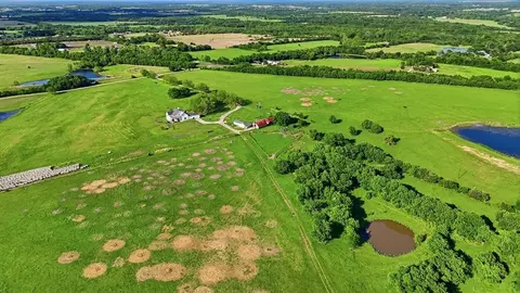 2301 Private Road 1179, Celeste, TX 75423 photo 24