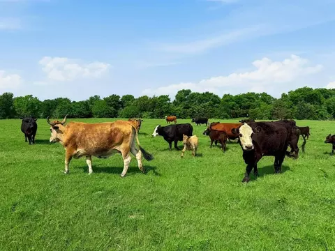 2301 Private Road 1179, Celeste, TX 75423 photo 19