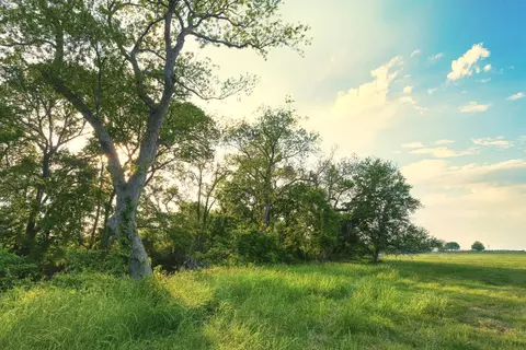 Tract 1 Cr 433, Lorena, TX 76655 photo 9