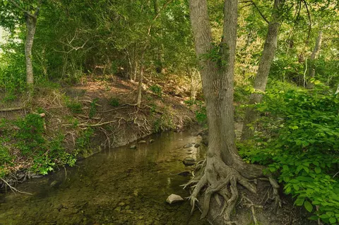 Tract 1 Cr 433, Lorena, TX 76655 photo 18