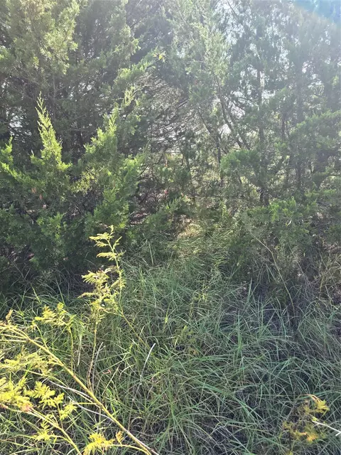 3694 County Road 1103, Celeste, TX 75423