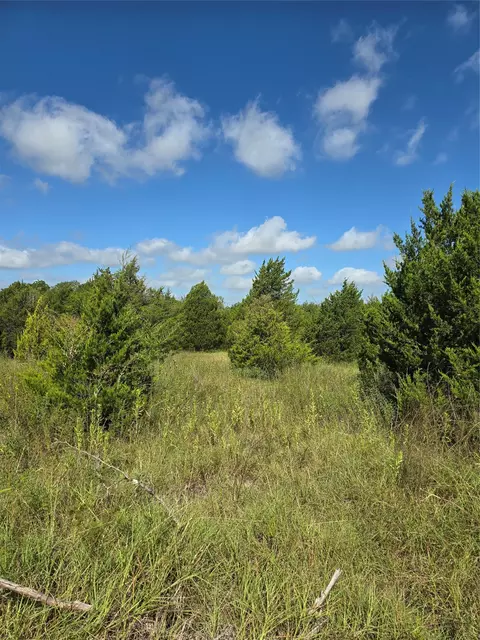 3694 County Road 1103, Celeste, TX 75423 photo 2