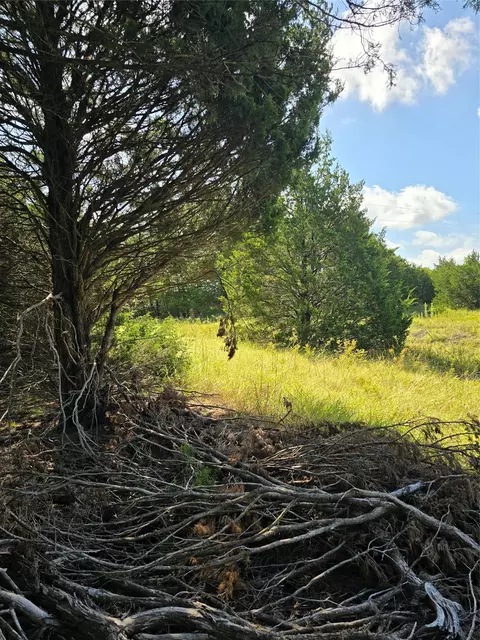 3694 County Road 1103, Celeste, TX 75423 photo 3
